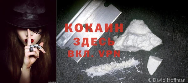 МДПВ Абаза